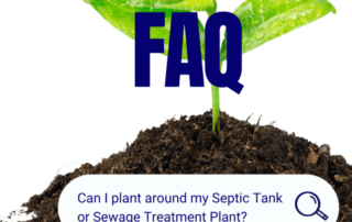 Planting around a septic tanks