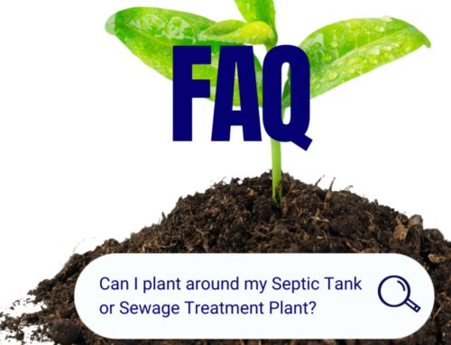 Can I plant around my Septic Tank or Sewage Treatment Plant?