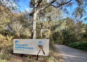 RSPB Minsmere