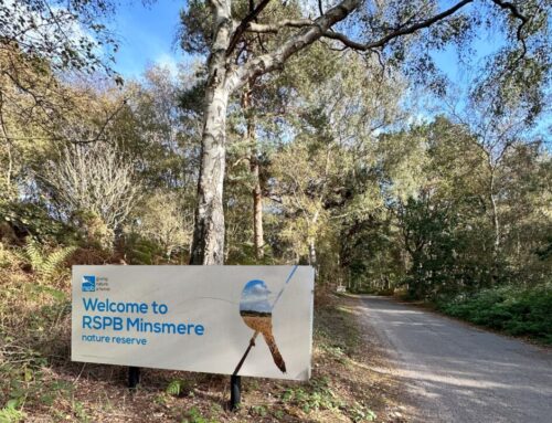 RSPB Minsmere Sewage Treatment Plant Upgrade